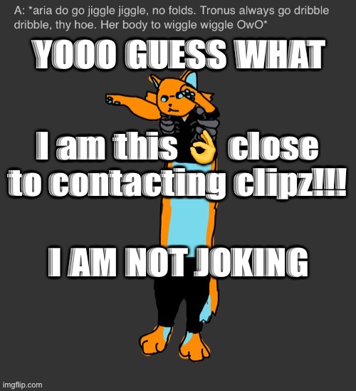 Aria The Longcat | YOOO GUESS WHAT; I am this 👌 close to contacting clipz!!! I AM NOT JOKING | image tagged in aria the longcat | made w/ Imgflip meme maker