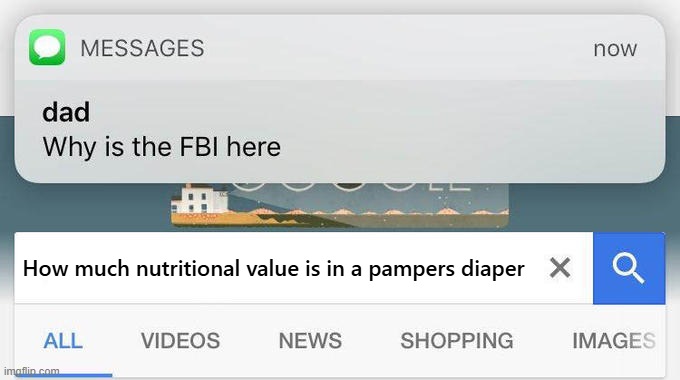 The worst thing to google. | How much nutritional value is in a pampers diaper | image tagged in why is the fbi here | made w/ Imgflip meme maker