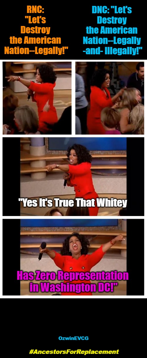 #AncestorsForReplacement | RNC: 

"Let's 

Destroy 

the American 

Nation--Legally!"; DNC: "Let's 

Destroy 

the American 

Nation--Legally 

-and- Illegally!"; "Yes It's True That Whitey; Has Zero Representation 

in Washington DC!"; OzwinEVCG; #AncestorsForReplacement | image tagged in oprah winfrey,hoprah windbag,democratic party,politicians suck,republican party,white people | made w/ Imgflip meme maker