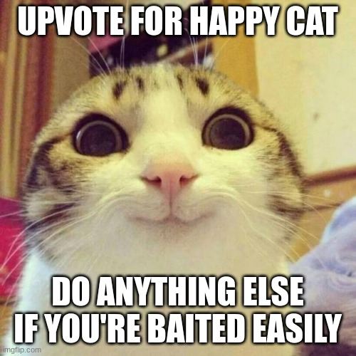 Smiling Cat Meme | UPVOTE FOR HAPPY CAT DO ANYTHING ELSE IF YOU'RE BAITED EASILY | image tagged in memes,smiling cat | made w/ Imgflip meme maker