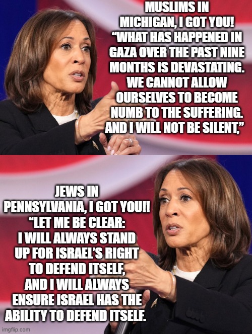 2 ads 2 states, people too dumb and will vote Kamala any way! | MUSLIMS IN MICHIGAN, I GOT YOU! “WHAT HAS HAPPENED IN GAZA OVER THE PAST NINE MONTHS IS DEVASTATING. WE CANNOT ALLOW OURSELVES TO BECOME NUMB TO THE SUFFERING. AND I WILL NOT BE SILENT,”; JEWS IN PENNSYLVANIA, I GOT YOU!! “LET ME BE CLEAR: I WILL ALWAYS STAND UP FOR ISRAEL’S RIGHT TO DEFEND ITSELF, AND I WILL ALWAYS ENSURE ISRAEL HAS THE ABILITY TO DEFEND ITSELF. | image tagged in special kind of stupid,liar liar pants on fire | made w/ Imgflip meme maker