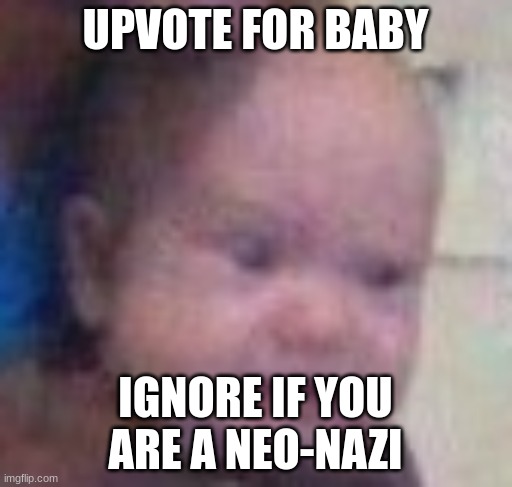 Disgusted baby | UPVOTE FOR BABY IGNORE IF YOU ARE A NEO-NAZI | image tagged in disgusted baby | made w/ Imgflip meme maker