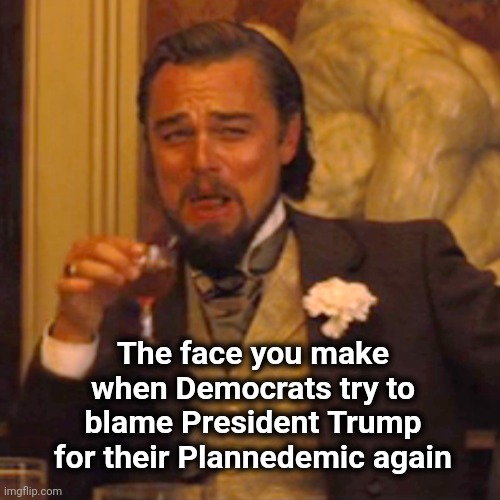 Going lower | The face you make when Democrats try to blame President Trump for their Plannedemic again | image tagged in memes,laughing leo,go lower,politicians suck,moron,tim walz | made w/ Imgflip meme maker