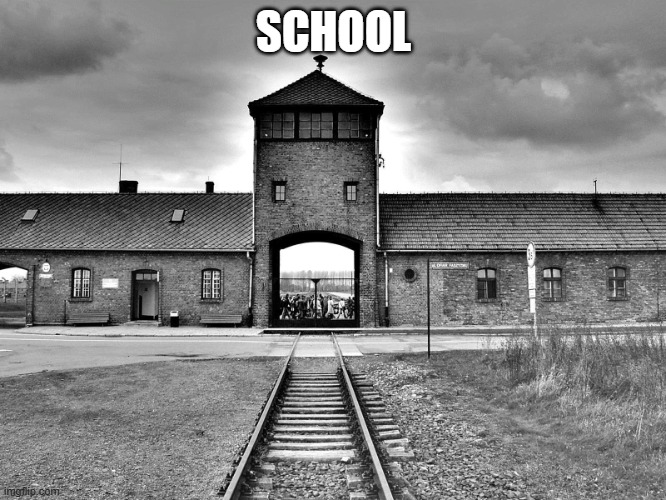 aushwitz | SCHOOL | image tagged in aushwitz | made w/ Imgflip meme maker