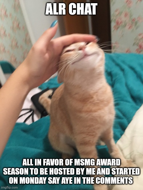 :3 | ALR CHAT; ALL IN FAVOR OF MSMG AWARD SEASON TO BE HOSTED BY ME AND STARTED ON MONDAY SAY AYE IN THE COMMENTS | image tagged in cat pat | made w/ Imgflip meme maker