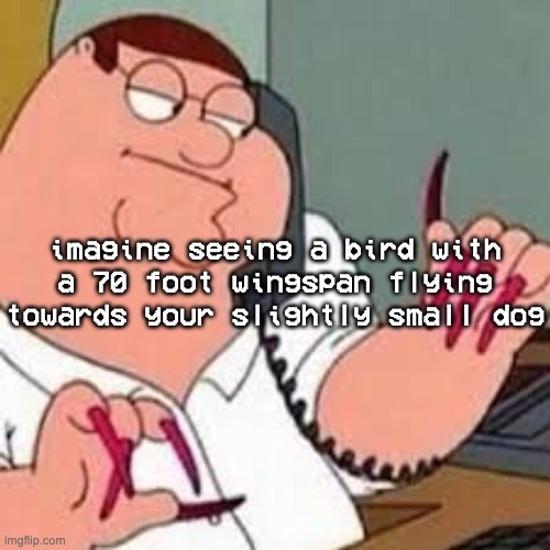 what do you do in this situation | imagine seeing a bird with a 70 foot wingspan flying towards your slightly small dog | image tagged in peter griffin with nails | made w/ Imgflip meme maker