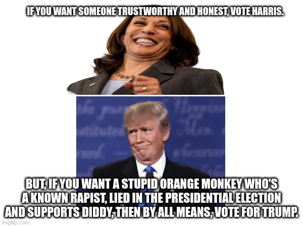 I swear if you guys disapprove this because you like trump I will mass report you so hard | IF YOU WANT SOMEONE TRUSTWORTHY AND HONEST, VOTE HARRIS. BUT, IF YOU WANT A STUPID ORANGE MONKEY WHO'S A KNOWN RAPIST, LIED IN THE PRESIDENTIAL ELECTION AND SUPPORTS DIDDY, THEN BY ALL MEANS, VOTE FOR TRUMP. | made w/ Imgflip meme maker