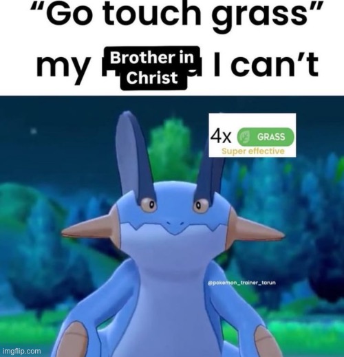 Poor swampert | made w/ Imgflip meme maker