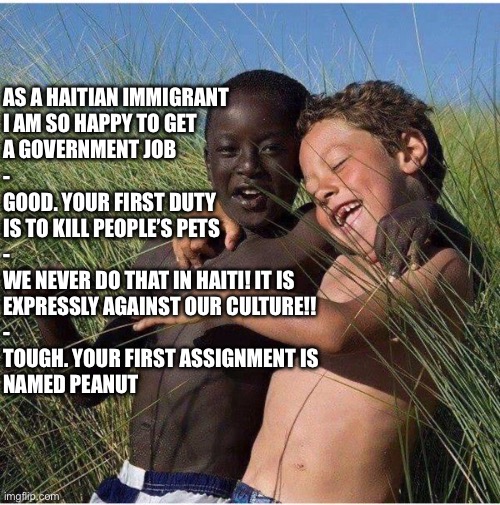 It’s pathetic that it’s basically no longer hearsay | AS A HAITIAN IMMIGRANT
I AM SO HAPPY TO GET 
A GOVERNMENT JOB
-
GOOD. YOUR FIRST DUTY
IS TO KILL PEOPLE’S PETS
-
WE NEVER DO THAT IN HAITI! IT IS
EXPRESSLY AGAINST OUR CULTURE!!
-
TOUGH. YOUR FIRST ASSIGNMENT IS
NAMED PEANUT | image tagged in black and white | made w/ Imgflip meme maker