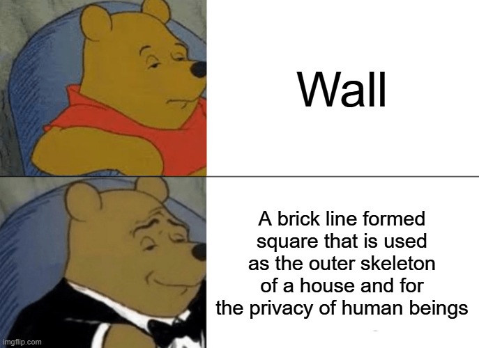 Tuxedo Winnie The Pooh Meme | Wall; A brick line formed square that is used as the outer skeleton of a house and for the privacy of human beings | image tagged in memes,tuxedo winnie the pooh | made w/ Imgflip meme maker