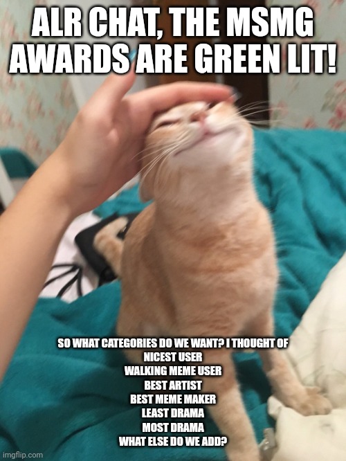 :3 | ALR CHAT, THE MSMG AWARDS ARE GREEN LIT! SO WHAT CATEGORIES DO WE WANT? I THOUGHT OF
NICEST USER
WALKING MEME USER
BEST ARTIST
BEST MEME MAKER
LEAST DRAMA
MOST DRAMA
WHAT ELSE DO WE ADD? | image tagged in cat pat | made w/ Imgflip meme maker