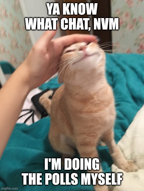 Sorry! I think it'll just be easier for me to do it! | YA KNOW WHAT CHAT, NVM; I'M DOING THE POLLS MYSELF | image tagged in cat pat | made w/ Imgflip meme maker