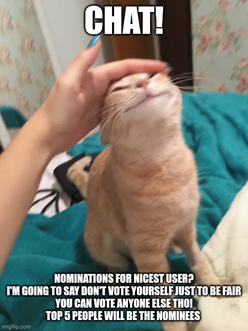 :3 | CHAT! NOMINATIONS FOR NICEST USER?
I'M GOING TO SAY DON'T VOTE YOURSELF JUST TO BE FAIR
YOU CAN VOTE ANYONE ELSE THO!
TOP 5 PEOPLE WILL BE THE NOMINEES | image tagged in cat pat | made w/ Imgflip meme maker