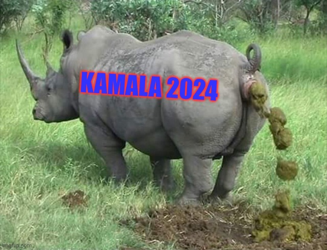 Rino | KAMALA 2024 | image tagged in rino | made w/ Imgflip meme maker