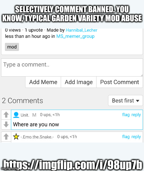 SELECTIVELY COMMENT BANNED. YOU KNOW, TYPICAL GARDEN VARIETY MOD ABUSE; https://imgflip.com/i/98up7b | image tagged in mod | made w/ Imgflip meme maker