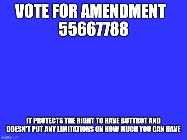 Buttrot Amendment | VOTE FOR AMENDMENT  
55667788; IT PROTECTS THE RIGHT TO HAVE BUTTROT AND DOESN'T PUT ANY LIMITATIONS ON HOW MUCH YOU CAN HAVE | image tagged in funny memes | made w/ Imgflip meme maker