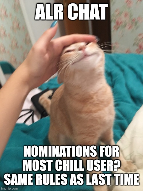 :3 | ALR CHAT; NOMINATIONS FOR MOST CHILL USER?
SAME RULES AS LAST TIME | image tagged in cat pat | made w/ Imgflip meme maker