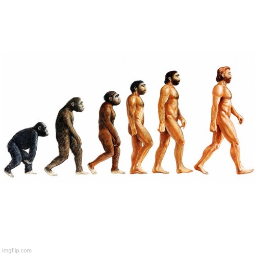 Evolution | image tagged in evolution | made w/ Imgflip meme maker