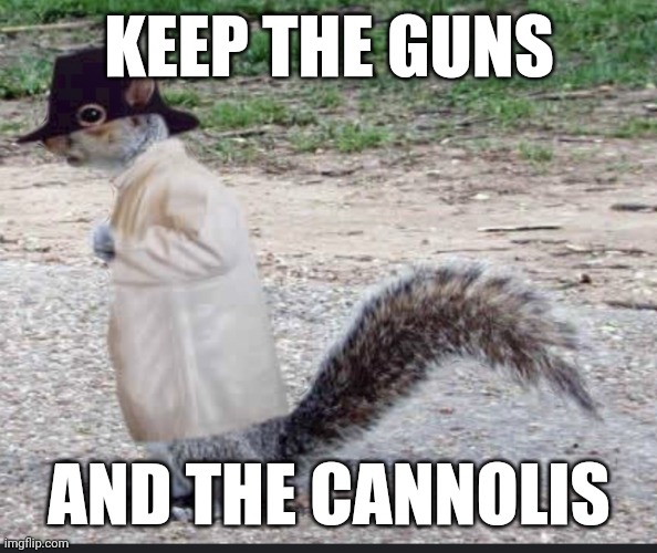 Mobster Squirrel Revenge is Sweet | KEEP THE GUNS; AND THE CANNOLIS | image tagged in mobster,jokes,funny,pnut,squirrel,camnolis | made w/ Imgflip meme maker