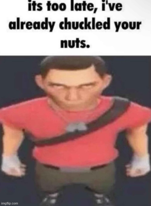 chuckled your nuts | image tagged in chuckled your nuts | made w/ Imgflip meme maker