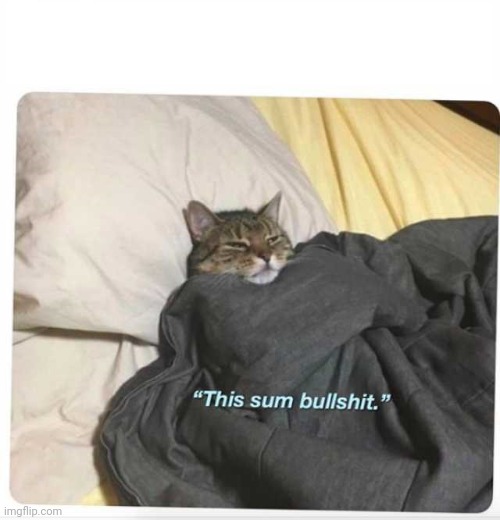 This sum bullshit cat | image tagged in this sum bullshit cat | made w/ Imgflip meme maker