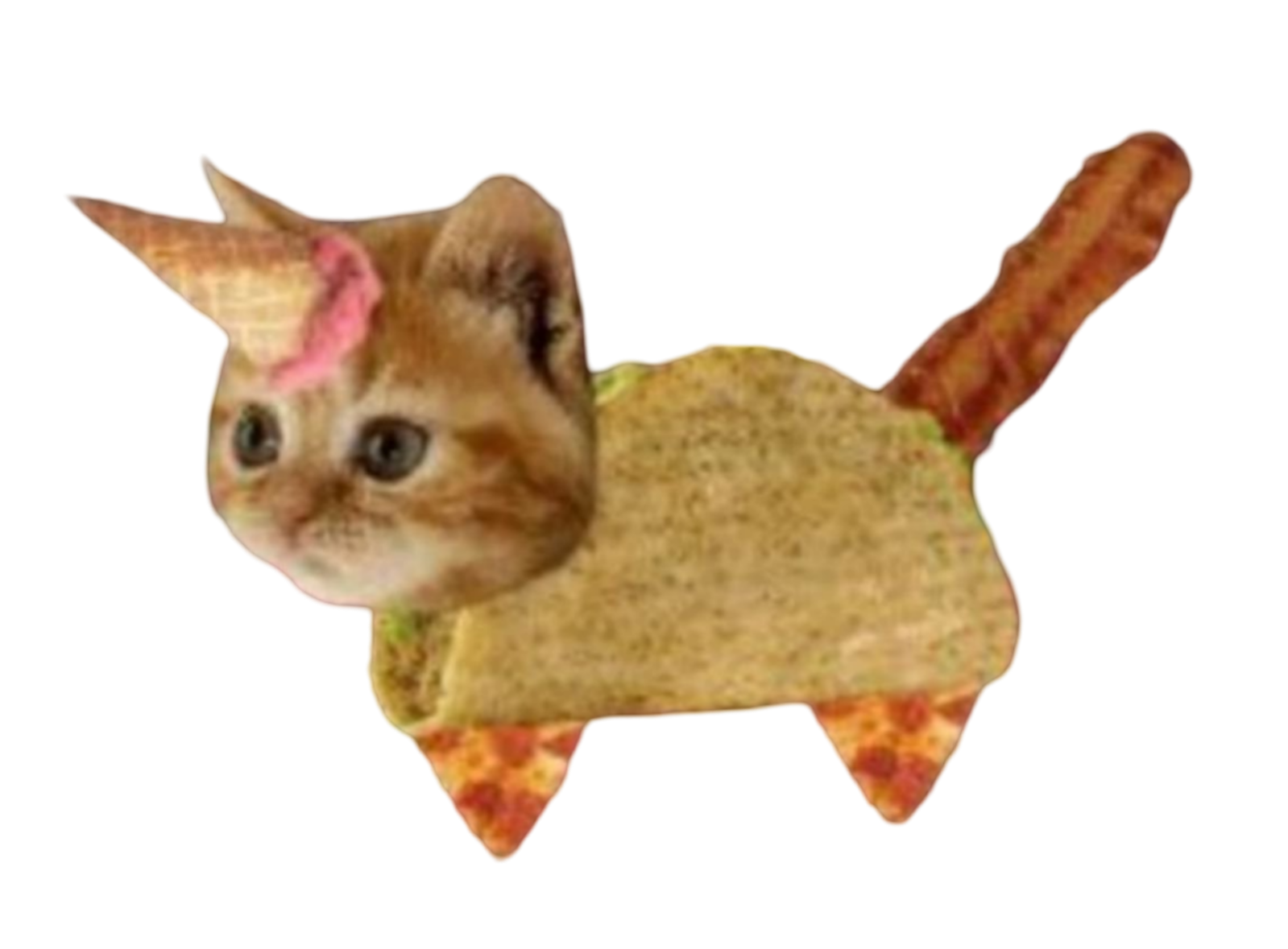 Bacon Taco Cat left Blank Meme Template