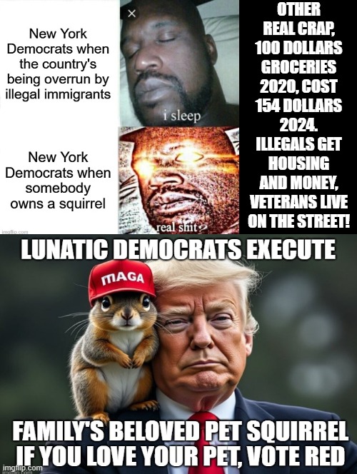 Are you a Lunatic?  or are you voting Remove Every Democrat! | OTHER REAL CRAP, 100 DOLLARS GROCERIES 2020, COST 154 DOLLARS 2024. ILLEGALS GET HOUSING AND MONEY, VETERANS LIVE ON THE STREET! | image tagged in sam elliott special kind of stupid | made w/ Imgflip meme maker