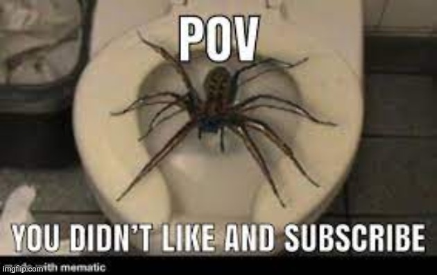 Skibidi spider | made w/ Imgflip meme maker