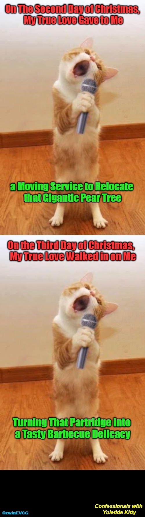 Confessionals with Yuletide Kitty | On The Second Day of Christmas, 

My True Love Gave to Me; a Moving Service to Relocate 

that Gigantic Pear Tree; On the Third Day of Christmas,  

My True Love Walked in on Me; Turning That Partridge into 

a Tasty Barbecue Delicacy; Confessionals with 

Yuletide Kitty; OzwinEVCG | image tagged in cats,memes,funny,holidays,singing,surprises | made w/ Imgflip meme maker