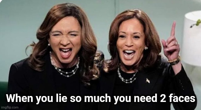 Bring in the Stand-in | When you lie so much you need 2 faces | image tagged in maya rudolph,better choice,president,well yes but actually no,just plain comedy,not really | made w/ Imgflip meme maker