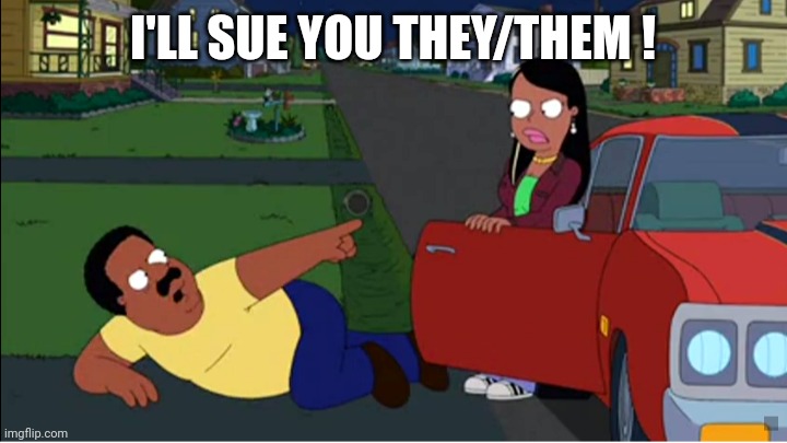 I'LL SUE YOU THEY/THEM ! | made w/ Imgflip meme maker