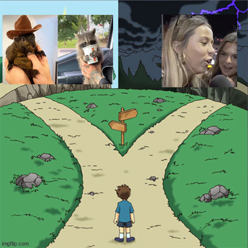 Two Paths | image tagged in two paths | made w/ Imgflip meme maker