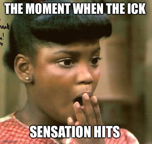 Getting the Ick | THE MOMENT WHEN THE ICK; SENSATION HITS | image tagged in dee from what's happening | made w/ Imgflip meme maker