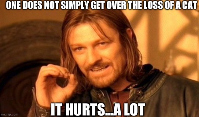 ONE DOES NOT SIMPLY GET OVER THE LOSS OF A CAT IT HURTS…A LOT | image tagged in memes,one does not simply | made w/ Imgflip meme maker