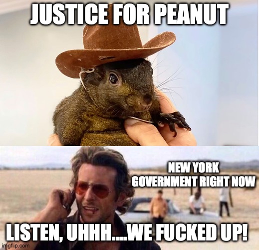 Justice For Peanut | JUSTICE FOR PEANUT; NEW YORK GOVERNMENT RIGHT NOW; LISTEN, UHHH....WE FUCKED UP! | image tagged in we fucked up,peanut the squirrel | made w/ Imgflip meme maker