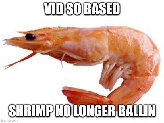 Shrimply | VID SO BASED SHRIMP NO LONGER BALLIN | image tagged in shrimply | made w/ Imgflip meme maker