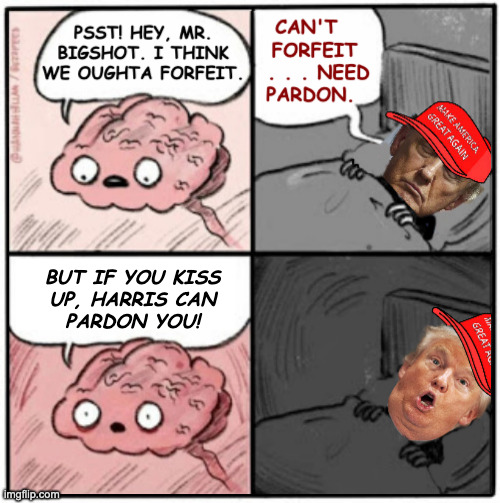 Pardon Me (Trump has an epiphany, but it calls for one helluva concession speech). | BUT IF YOU KISS
UP, HARRIS CAN
PARDON YOU! | image tagged in memes,brain before sleep,everybody wins sort of,pardon me | made w/ Imgflip meme maker