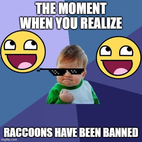 I swear, Raccoons are so annoying and dangerous. | THE MOMENT WHEN YOU REALIZE; RACCOONS HAVE BEEN BANNED | image tagged in memes,success kid | made w/ Imgflip meme maker