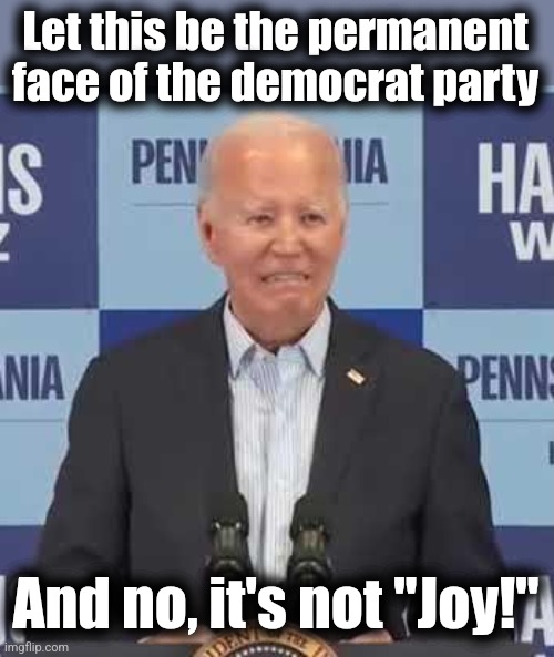 Let this be the permanent face of the democrat party; And no, it's not "Joy!" | image tagged in memes,joe biden,joy,democrats,face | made w/ Imgflip meme maker