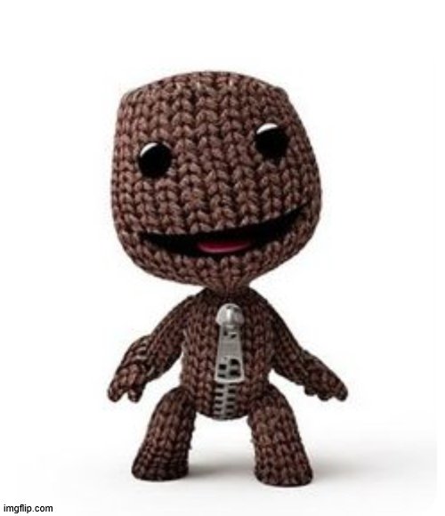 Sackboy just an sackboy | image tagged in sackboy just an sackboy | made w/ Imgflip meme maker