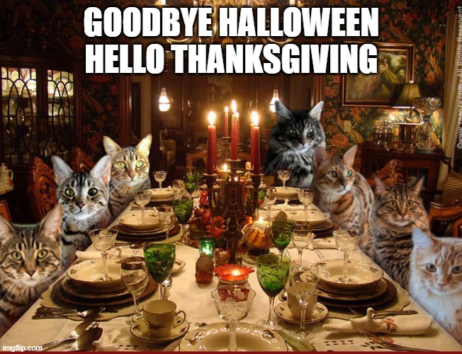 memes by Brad - my cat says goodbye to Halloween and hi to Thanksgiving | GOODBYE HALLOWEEN HELLO THANKSGIVING | image tagged in cats,funny,kittens,halloween,thanksgiving,humor | made w/ Imgflip meme maker