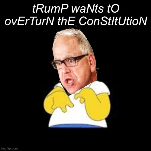 Shotgun Tim hath spoken | tRumP waNts tO ovErTurN thE ConStItUtioN | image tagged in look marge,politics lol,memes | made w/ Imgflip meme maker