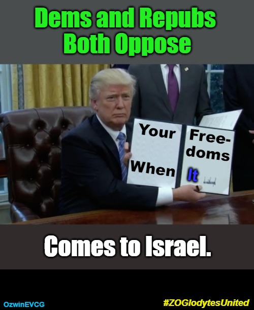 How About Those No-Boycott States and Israel Censor Orgs Here in the USA! | Dems and Repubs 

Both Oppose; Free-
doms; Your; When; It; Comes to Israel. #ZOGlodytesUnited; OzwinEVCG | image tagged in troglodytes,zoglodytes,democratic party,republican party,occupied usa,bill of rights | made w/ Imgflip meme maker