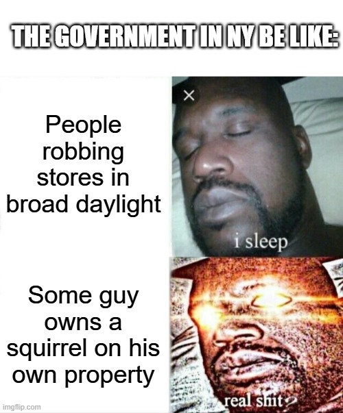 THE GOVERNMENT IN NY BE LIKE:; People robbing stores in broad daylight; Some guy owns a squirrel on his own property | image tagged in blank white template,memes,sleeping shaq,peanut the squirrel | made w/ Imgflip meme maker