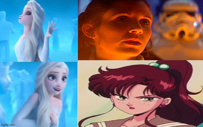 elsa hates leia like jumper | image tagged in elsa hates and likes meme,sailor moon,elsa frozen,princess leia,cartoons,disney | made w/ Imgflip meme maker