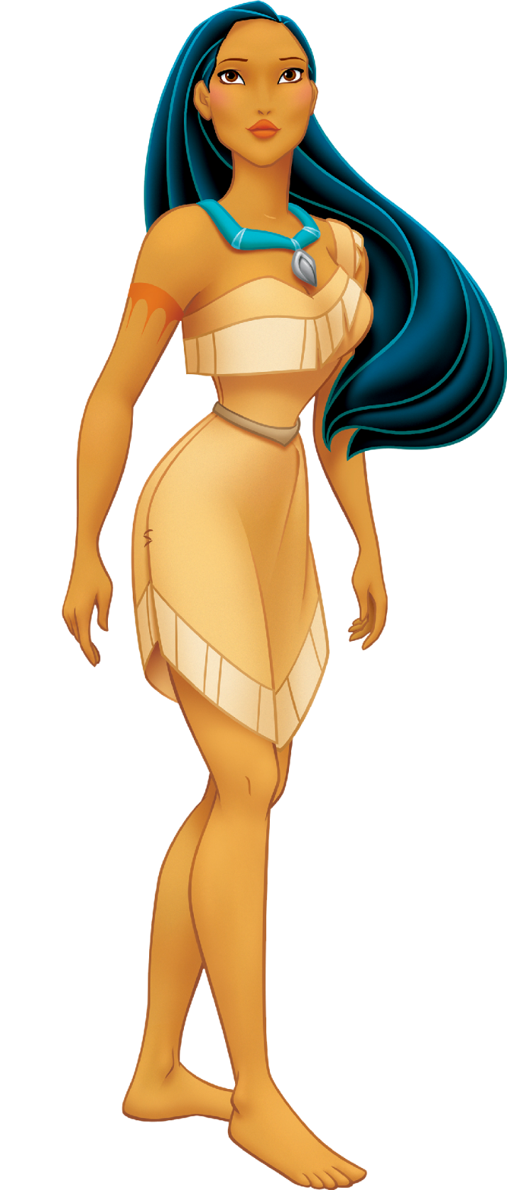 Pocahontas Blank Meme Template