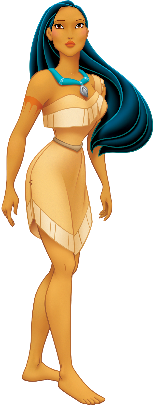 Pocahontas Blank Meme Template