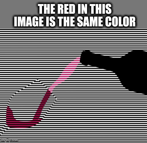 Red between the lines | THE RED IN THIS IMAGE IS THE SAME COLOR | image tagged in optical illusion,red,color,eye,trick | made w/ Imgflip meme maker