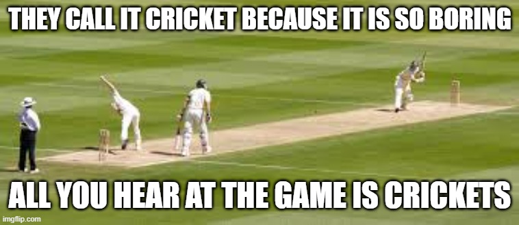 memes by Brad - Why is the game called cricket? - humor - | THEY CALL IT CRICKET BECAUSE IT IS SO BORING; ALL YOU HEAR AT THE GAME IS CRICKETS | image tagged in sports,funny,discussion,humor,cricket,baseball | made w/ Imgflip meme maker