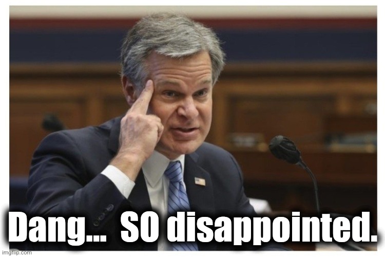 Wray if | Dang...  SO disappointed. | image tagged in wray if | made w/ Imgflip meme maker